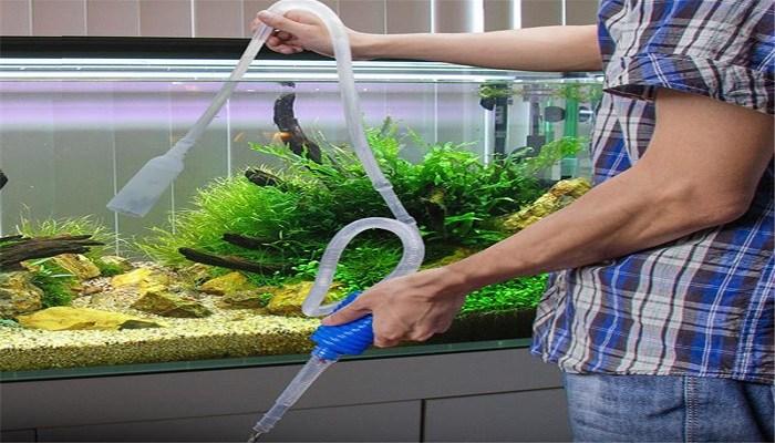 Подмена воды в аквариуме: правила и периодичность