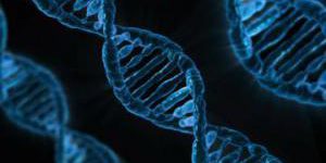 Открытие: В ДНК людей еще меньше человеческого, чем казалось раньше