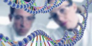 В ДНК человека обнаружили второй спрятанный ретровирус