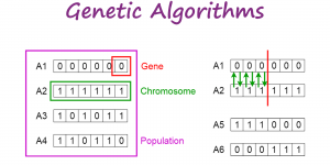 Введение в генетические алгоритмы — в том числе пример кода