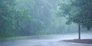 Половина ежегодного дождя в мире выпадает всего за 12 дней