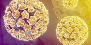 Искусственный вирус спасет от рака печени