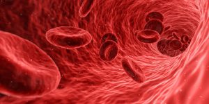 Что такое редкий фенотип крови?