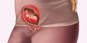 Ощущения на 13 неделе беременности: изменения в организме женщины, развитие плода