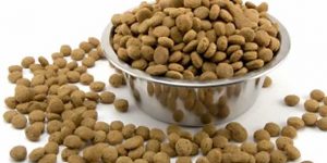 Сухие корма для собак премиум-класса: список, рейтинг, отзывы