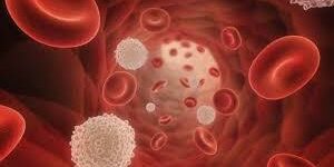 Высокий уровень тромбоцитов в крови может подтверждает предрасположенность к раку