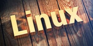 Администрирование Linux: специалист + компания = сервер