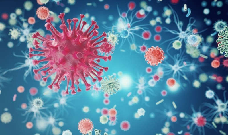 Как организм борется с вирусами? Иммунная защита организма. Противовирусные препараты