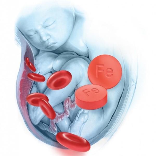 Норма гемоглобина у беременных в 1 триместре. За что отвечает гемоглобин при беременности?