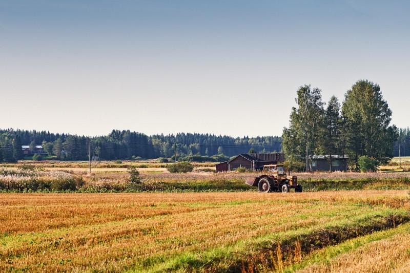 Сельское хозяйство Финляндии: отрасли и характеристика