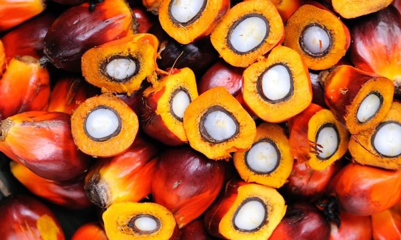 Вредно ли для человека пальмовое масло? Какой вред наносит пальмовое масло?