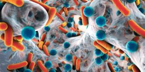 Бактерицидная установка: виды, технические характеристики, принцип работы