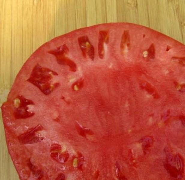 Классический представитель розовых сортов: урожайный томат Фиделио, ухаживать за которым очень просто