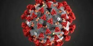 Раскрыт новый механизм заражения коронавирусом