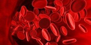 Ученые определили, люди с какой группой крови живут дольше