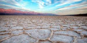 15 самых странных фактов о пустыне Мохаве