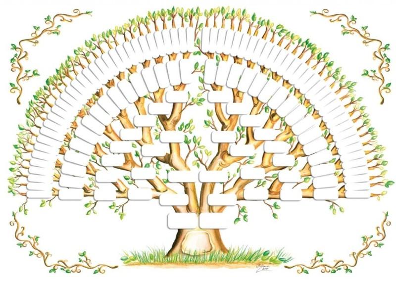Как узнать свое происхождение? Как составить генеалогическое древо семьи