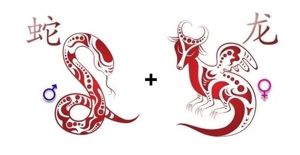 Совместимость женщины-дракон и мужчины-змеи: как построить гармоничные отношения